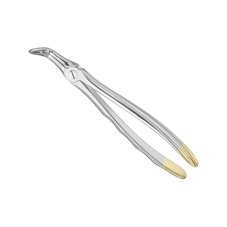 Extracting forceps, anat.